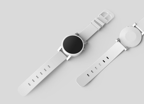 Silver watch on a sample brand product page